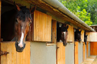 free Little Catworth stable construction quotes